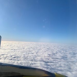 Meet your Posher, Antonina